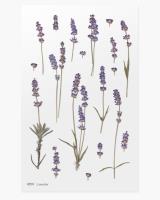 Opakowanie Naklejki ozdobne kwiaty Lawenda