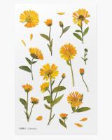 Opakowanie Naklejki ozdobne kwiaty Nagietek