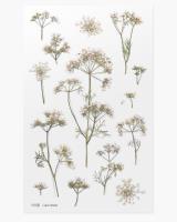 Opakowanie Naklejki ozdobne kwiaty Orlaja