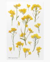 Opakowanie Naklejki ozdobne kwiaty Rzepak