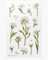 Opakowanie Naklejki ozdobne kwiaty Smagliczka