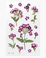 Opakowanie Naklejki ozdobne kwiaty Werbena