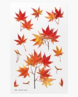 Opakowanie Naklejki ozdobne roślinne Klon palmowy