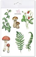 Naprasowanki Przyroda w lesie. Wydawca: Mama Maluje. SmakLiter.pl Opakowanie Naprasowanki Przyroda w lesie