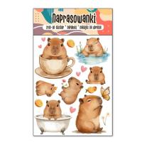 Opakowanie Naprasowanki Termo Naklejki na Ubrania Kapibara