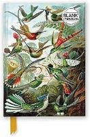 Opakowanie Notatnik A5 gładki TW Kolibry Ernst Haeckel