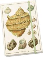 Notatnik ozdobny A5 STNOTE 135 Muszle. Wydawca: Skona Ting. SmakLiter.pl Opakowanie Notatnik ozdobny A5 STNOTE 135 Muszle