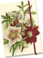 Opakowanie Notatnik ozdobny A5 STNOTE 141 Ciemiernik