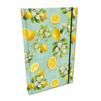Notes A5 kratka z gumką Soft Touch Cytrusowe Kwiaty. Wydawca: EV-Corp. SmakLiter.pl Opakowanie Notes A5 kratka z gumką Soft Touch Cytrusowe Kwiaty