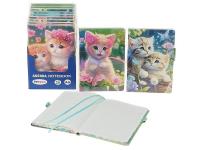 Opakowanie Notes A5 w kratkę kotki MIX