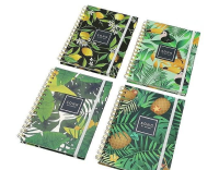 Opakowanie Notes w linie MIX