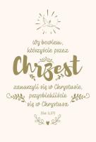 NT z infografikami B5 srebrne tł. Chrzest. Autor:   Praca zbiorowa. SmakLiter.pl Okładka książki NT z infografikami B5 srebrne tł. Chrzest