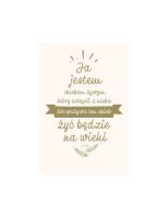 NT z infografikami B5 złote tł. Ja jestem chlebem. Autor:   Praca zbiorowa. SmakLiter.pl Okładka książki NT z infografikami B5 złote tł. Ja jestem chlebem