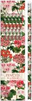 Opakowanie Ołówki ozdobne STPEN51 pelargonia 6szt