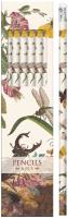 Opakowanie Ołówki ozdobne STPEN54 owady 6szt