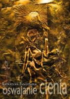 Okładka książki Oswajanie cienia