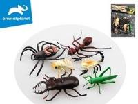 Opakowanie Owady 3x19x4cm 6szt