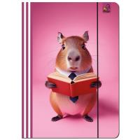 Paczka Teczka A4 z gumką Kapibara różowa  5 sztuk. Wydawca: EV-Corp. SmakLiter.pl Opakowanie Paczka Teczka A4 z gumką Kapibara różowa  5 sztuk