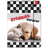 Paczka Teczka A4 z gumką Kot i Pies 5 sztuk. Wydawca: EV-Corp. SmakLiter.pl Opakowanie Paczka Teczka A4 z gumką Kot i Pies 5 sztuk