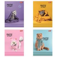 Opakowanie Paczka Zeszyt A5 32k.krata okładka laminowana Pawsitive Vibes mix 15 sztuk