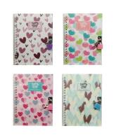 Opakowanie Pamiętnik z kłódką w serca MIX