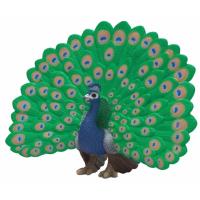 Opakowanie Paw