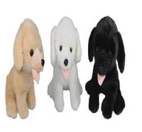 Opakowanie Pies 25x28cm MIX