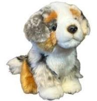 Opakowanie Pies australijski 19cm