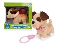 Opakowanie Pies chodzący na smyczy z szalikiem