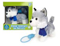 Opakowanie Pies chodzący na smyczy z szalikiem