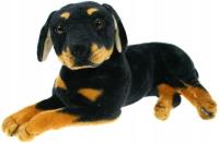 Opakowanie Pies rottweiler 47cm
