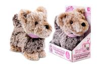 Opakowanie Piesek chodzący na smyczy brązowy