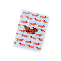 Opakowanie Pin jamnik