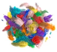 Piórka bażanta 4-7cm 10g brights. Wydawca: Dalprint. SmakLiter.pl Opakowanie Piórka bażanta 4-7cm 10g brights