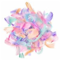 Opakowanie Piórka macaron 4-8cm 10g