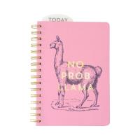 Opakowanie Planner 12M No Prob Llama