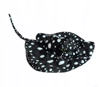 Opakowanie Płaszczka czarna 55cm