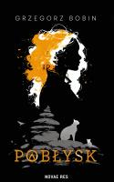 Pobłysk. Autor: Grzegorz Bobin. SmakLiter.pl Okładka książki Pobłysk