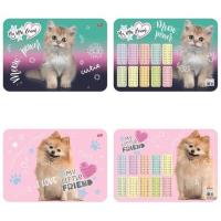 Opakowanie Podkład A3 dwustronny laminowany My little friend