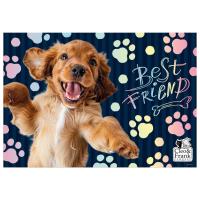 Opakowanie Podkład oklejany Cleo i Frank 44 DERFORM