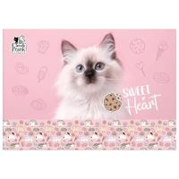 Opakowanie Podkład oklejany Cleo i Frank 45 DERFORM