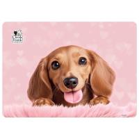 Opakowanie Podkładka laminowana Clei i Frank Kot