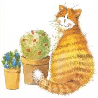 Podkładka pod kubek C173 Kot Whiskers. Wydawca: Alex Clark. SmakLiter.pl Opakowanie Podkładka pod kubek C173 Kot Whiskers