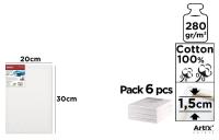 Podobrazie 20x30x1,5cm 280G/m2 (6szt). Wydawca: Artix. SmakLiter.pl Opakowanie Podobrazie 20x30x1,5cm 280G/m2 (6szt)