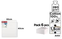 Podobrazie 30x40x1,5cm 280G/m2 (6szt). Wydawca: Artix. SmakLiter.pl Opakowanie Podobrazie 30x40x1,5cm 280G/m2 (6szt)