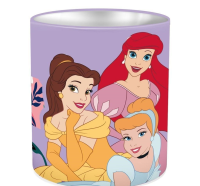Opakowanie Pojemnik na przybory szkolne Princess