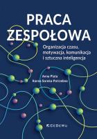 Praca zespołowa. Organizacja czasu, motywacja... Autor: Anna Pluta, Soroka-Potrzebna Hanna. SmakLiter.pl Okładka książki Praca zespołowa. Organizacja czasu, motywacja..