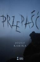 Okładka książki Przepaść