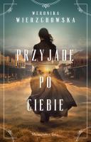 Okładka książki Przyjadę po ciebie. Duże Litery