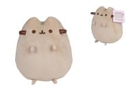 Opakowanie Pusheen 25cm